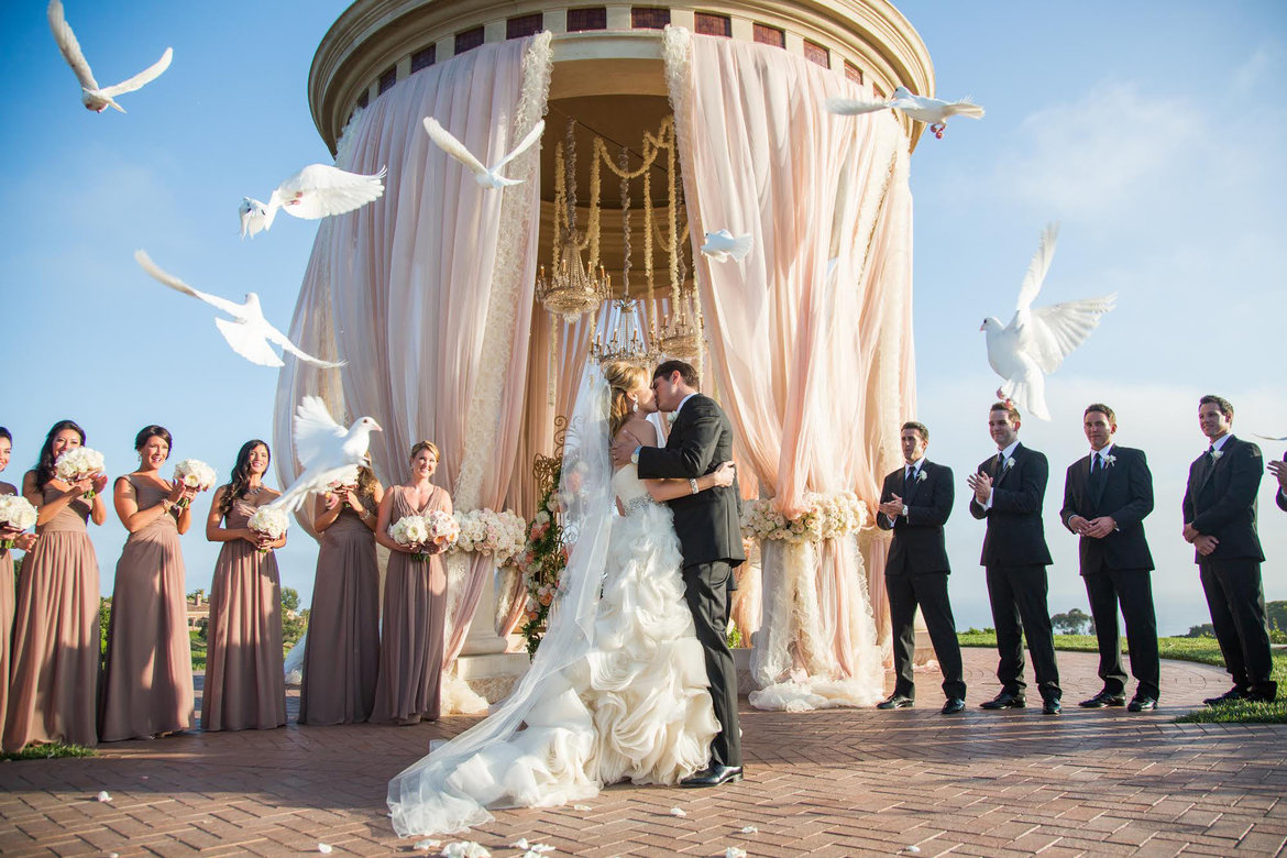 doves at wedding