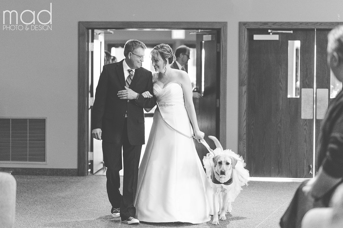 service dog with bride