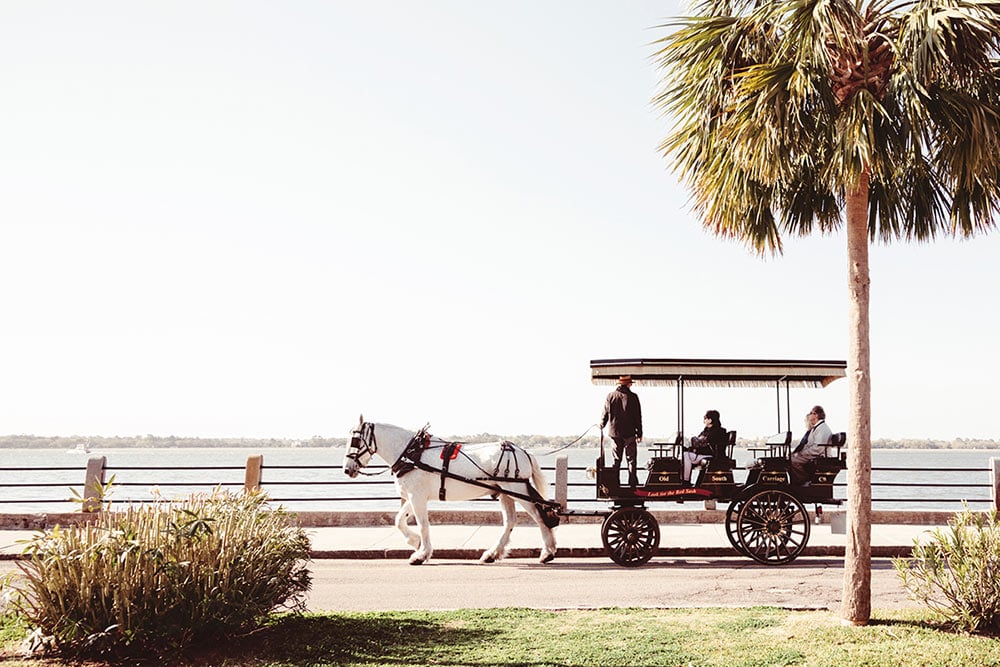 charleston horse drawn carriage ride