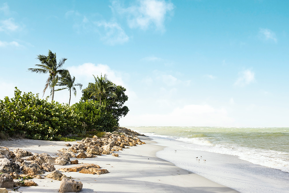 lee county florida beach wedding