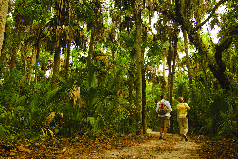 fort myers florida neighborhoods