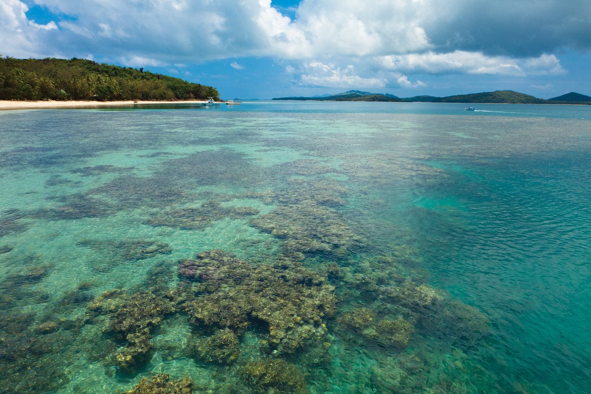 turtle island fiji