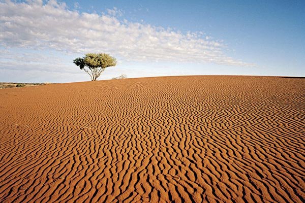 desert in australia 