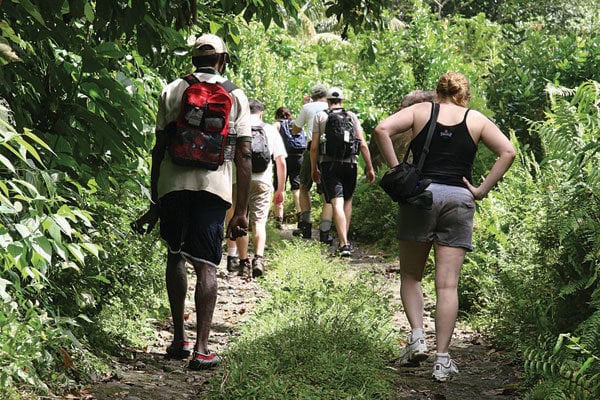 dominica hiking trail