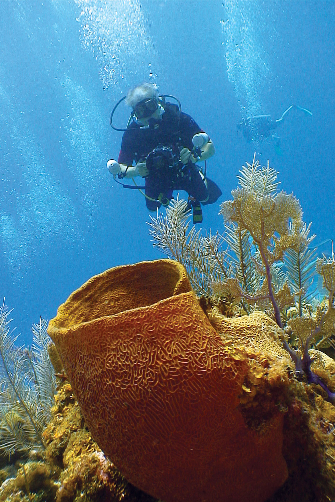 cayman islands reef