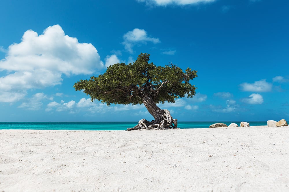 Aruba beach