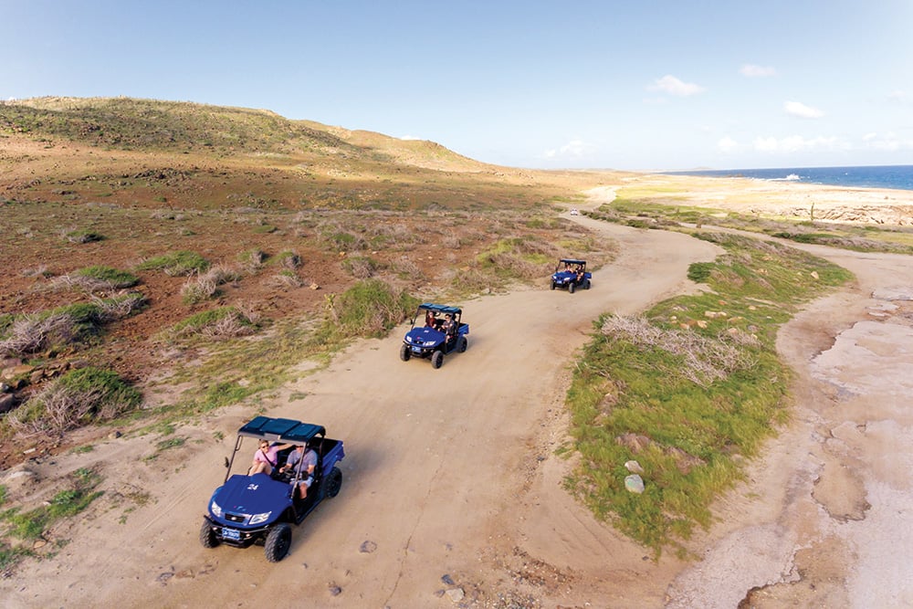 Aruba dune buggies