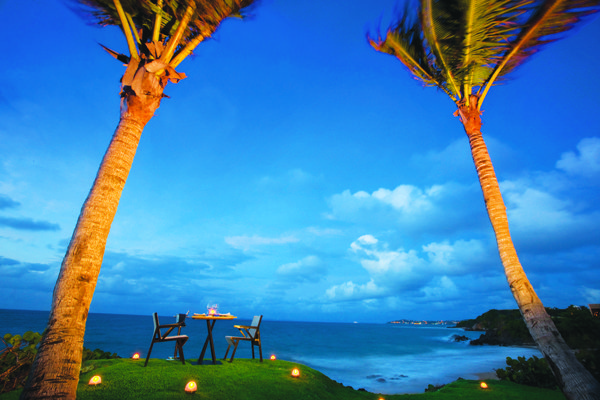 whisper beach puerto rico palm trees