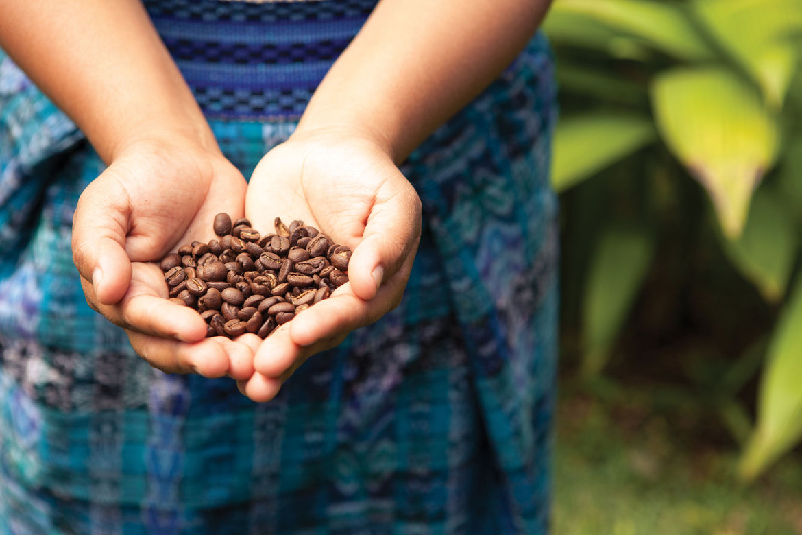 guatemalan coffee beans