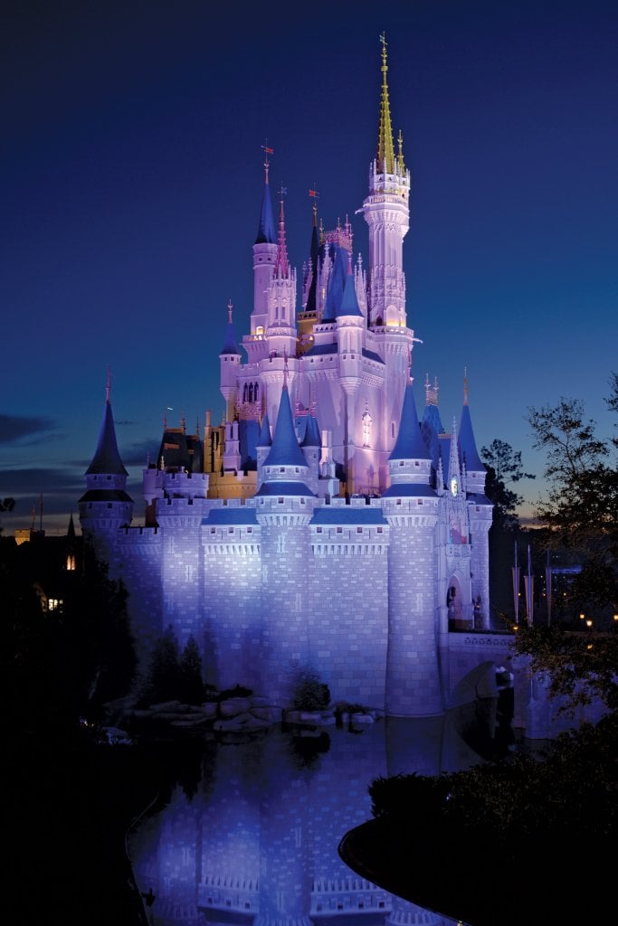 disney world castle