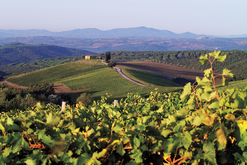 Tuscan Rosewood Castiglion del Bosco