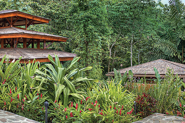 nayara hotel in costa rica