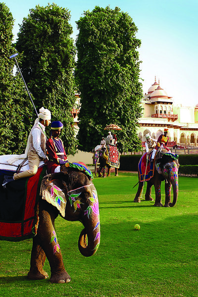 jaipur india elephant polo