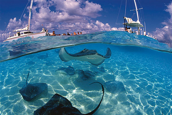 sting ray boat