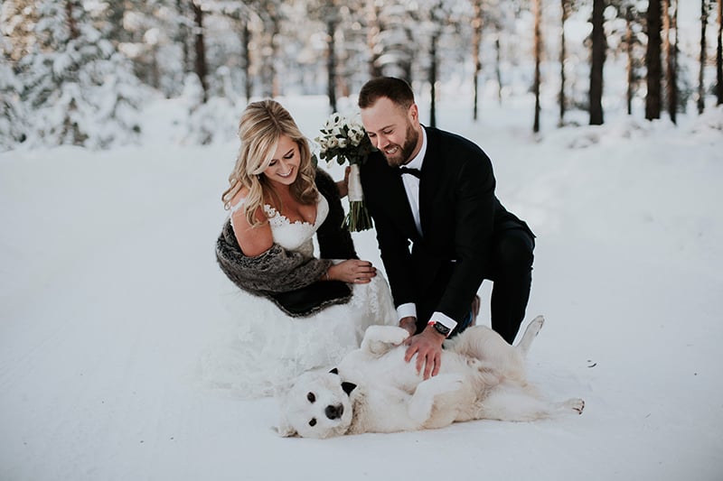 dog in snow belly rub