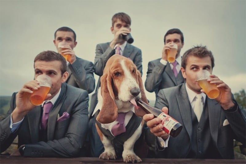 puppy drinking beer