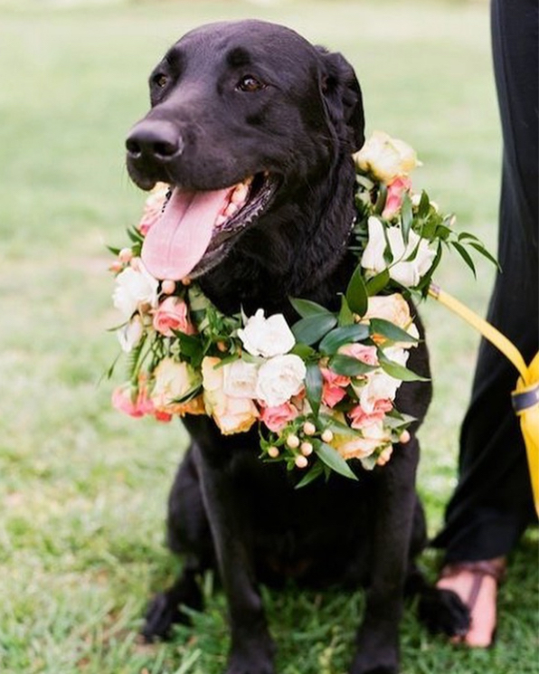 puppy flower girl