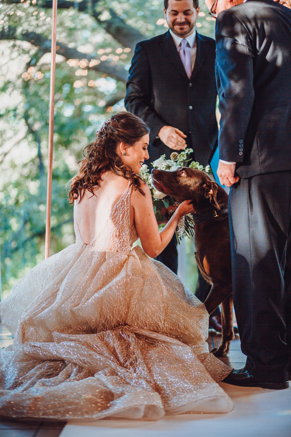 Bride with Dog