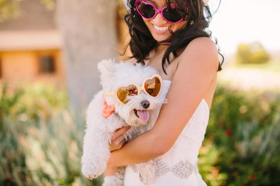 dog and bride with sunglasses