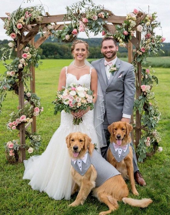 doggie tuxedos for a wedding