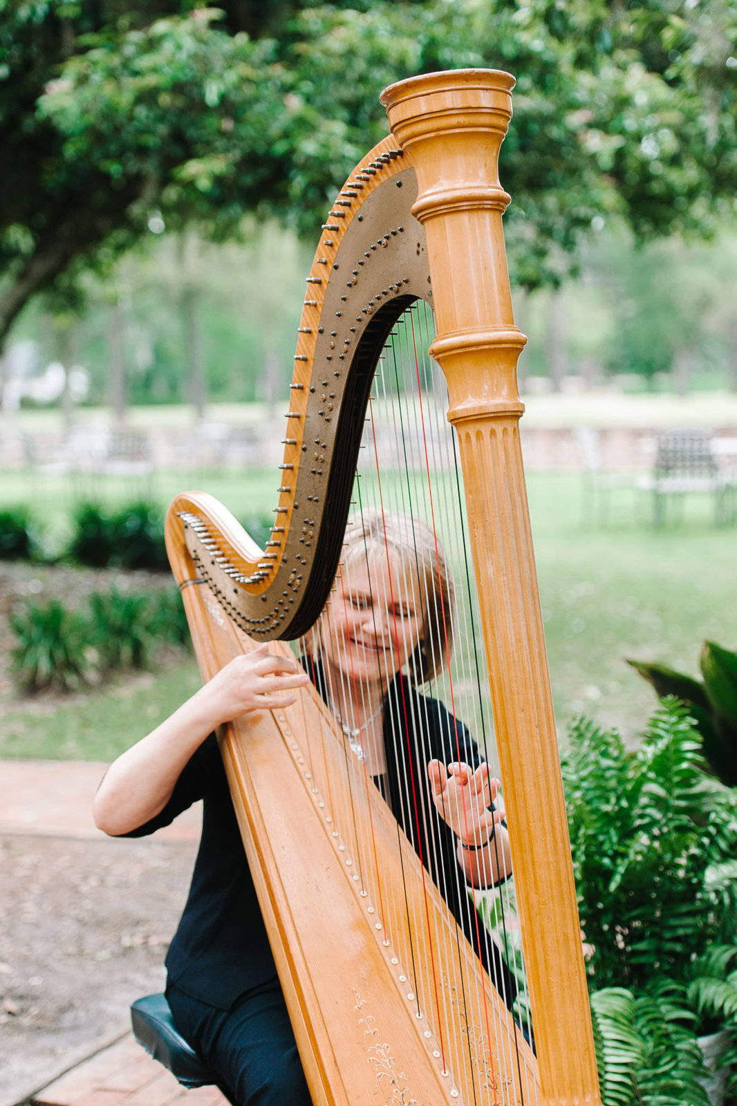 harpist