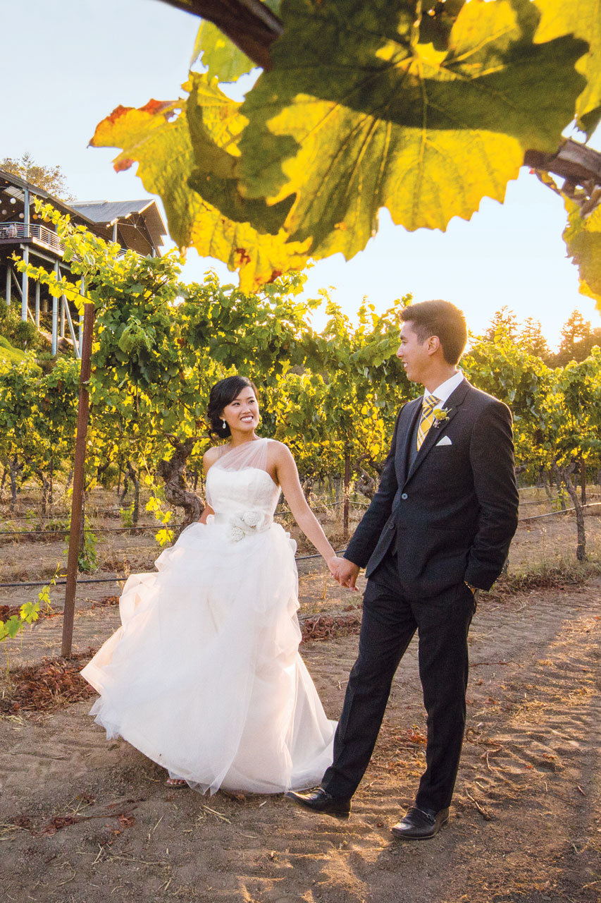 vineyard wedding