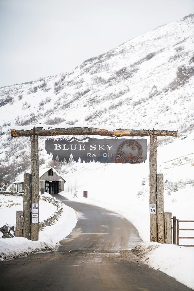 snowy winter wedding