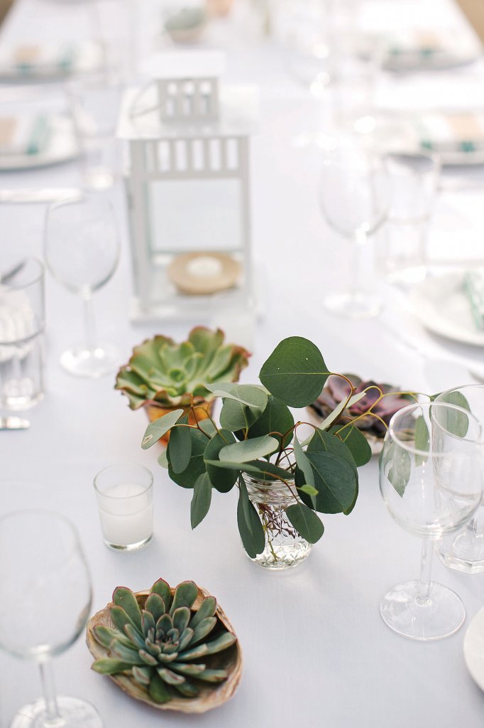 succulent centerpiece