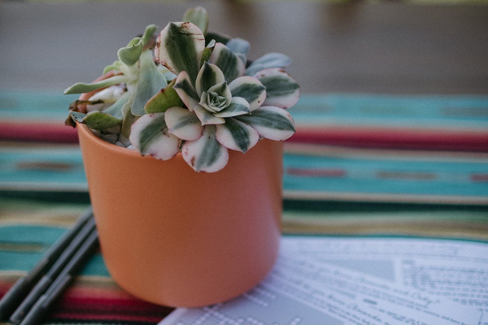 terra cotta pot at wedding