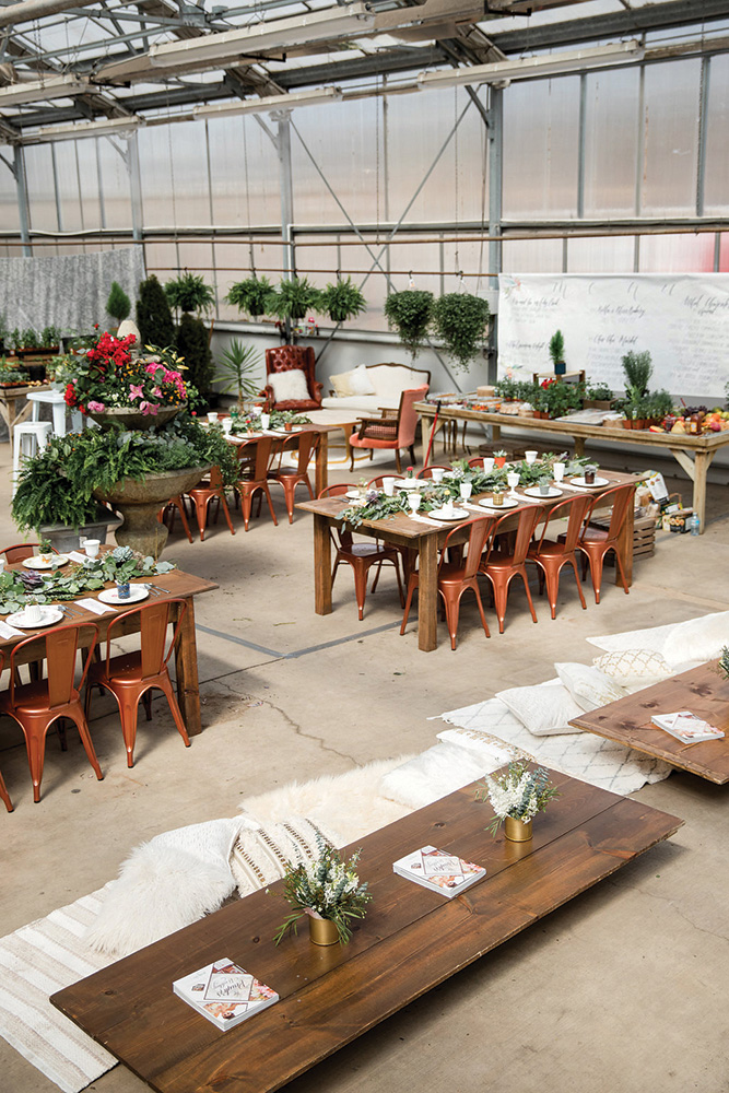 Dundee Gardens greenhouse wedding