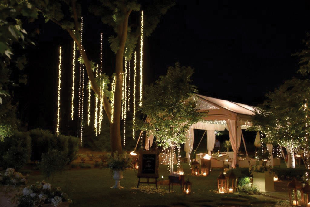 backyard wedding reception