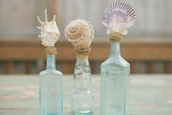 shells in a bottle