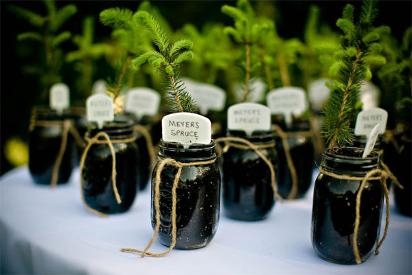 tree wedding favor 