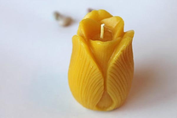 tulip candle 