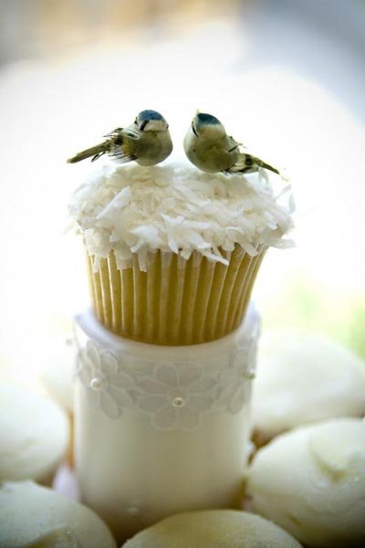 lovebird cupcake 