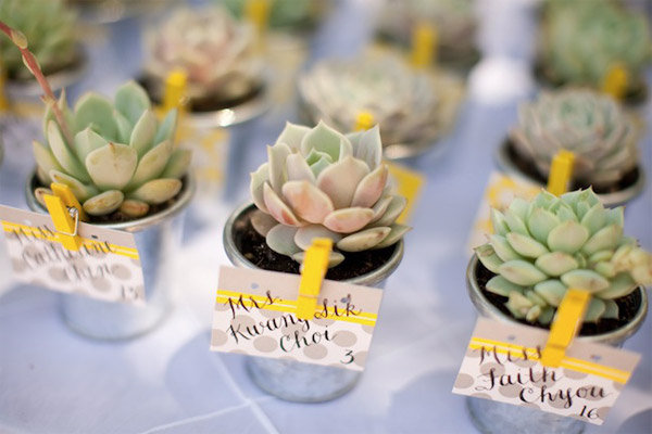 succulent wedding escort cards