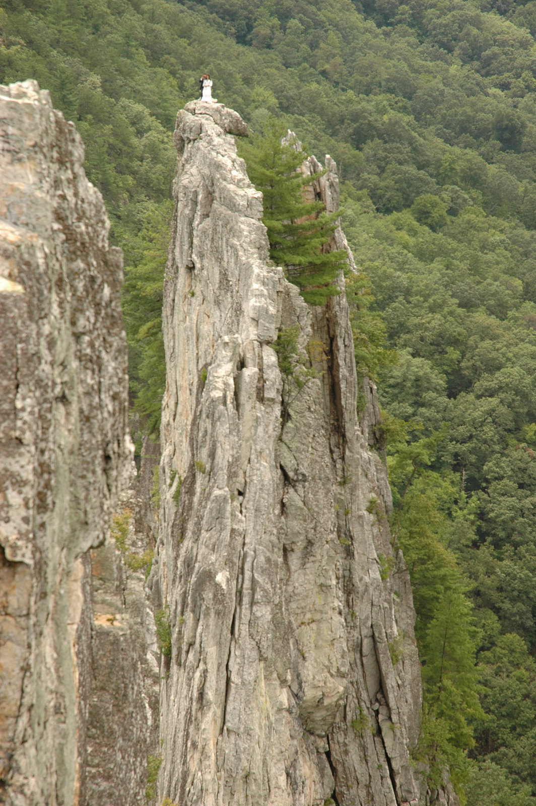 rock climbing wedding