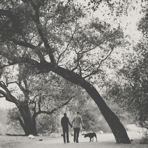 couple walking through the forest