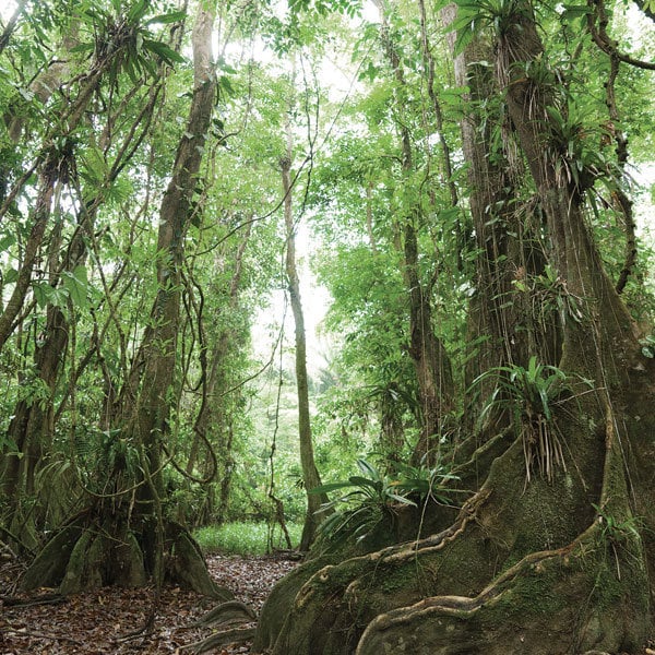 belize