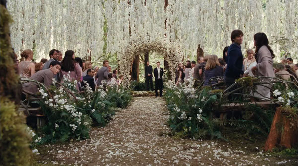 twilight breaking dawn wedding