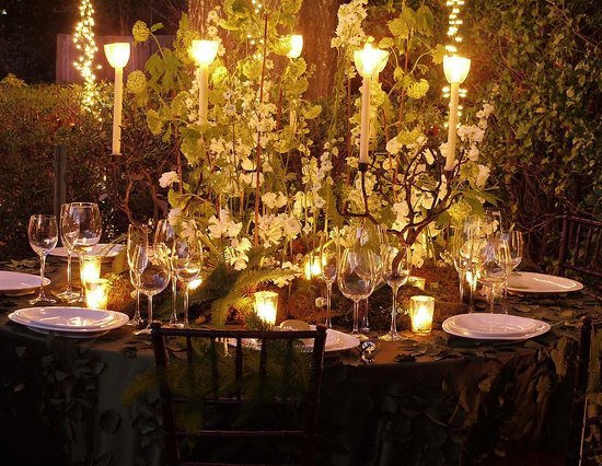 twilight breaking dawn wedding reception