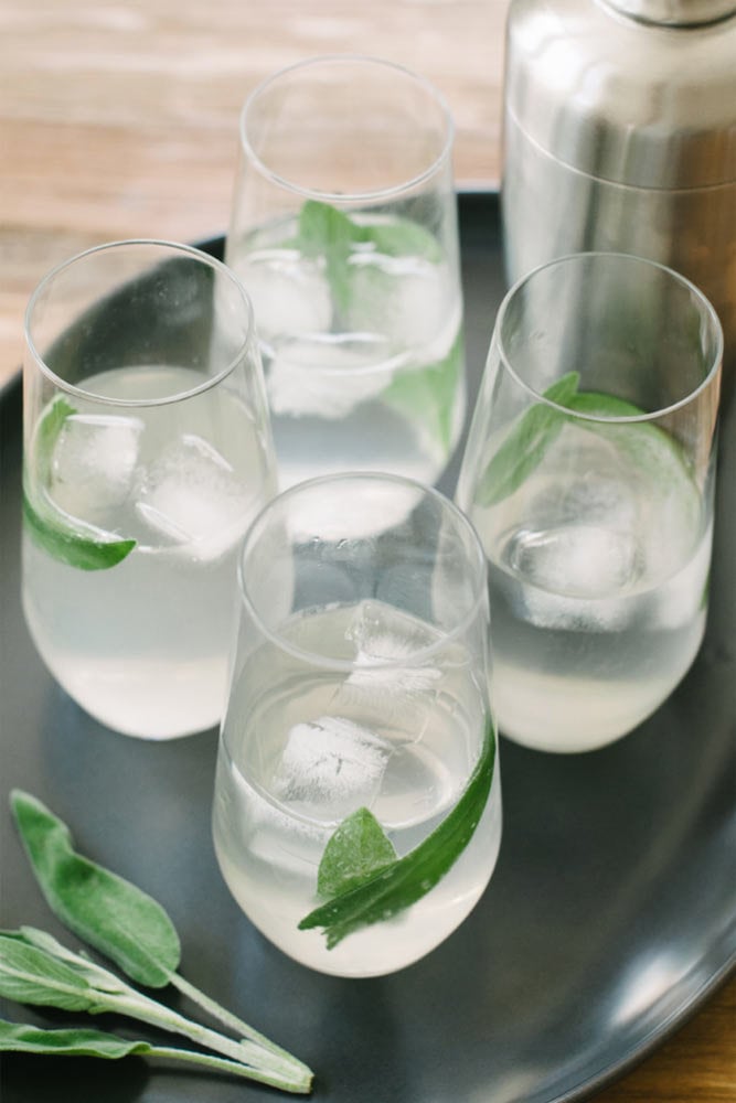 sage gin fizz