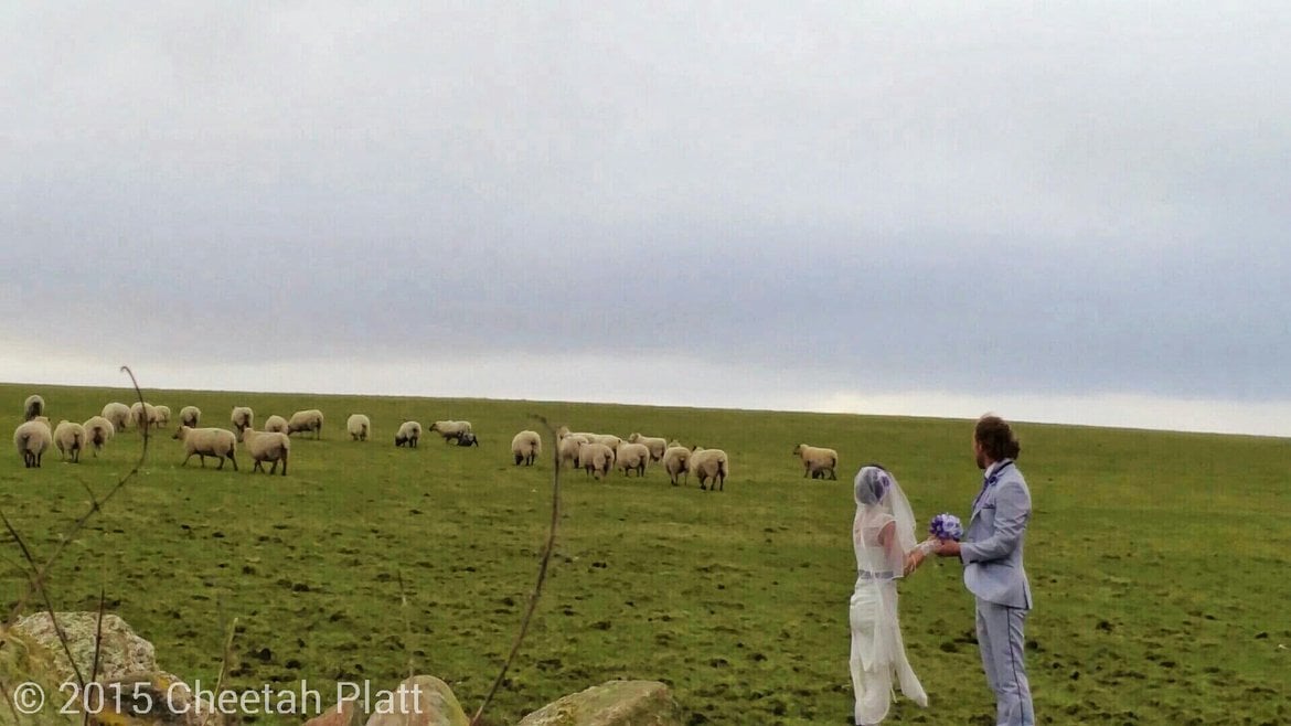 farmers oshaughnessys field baltinglass ireland