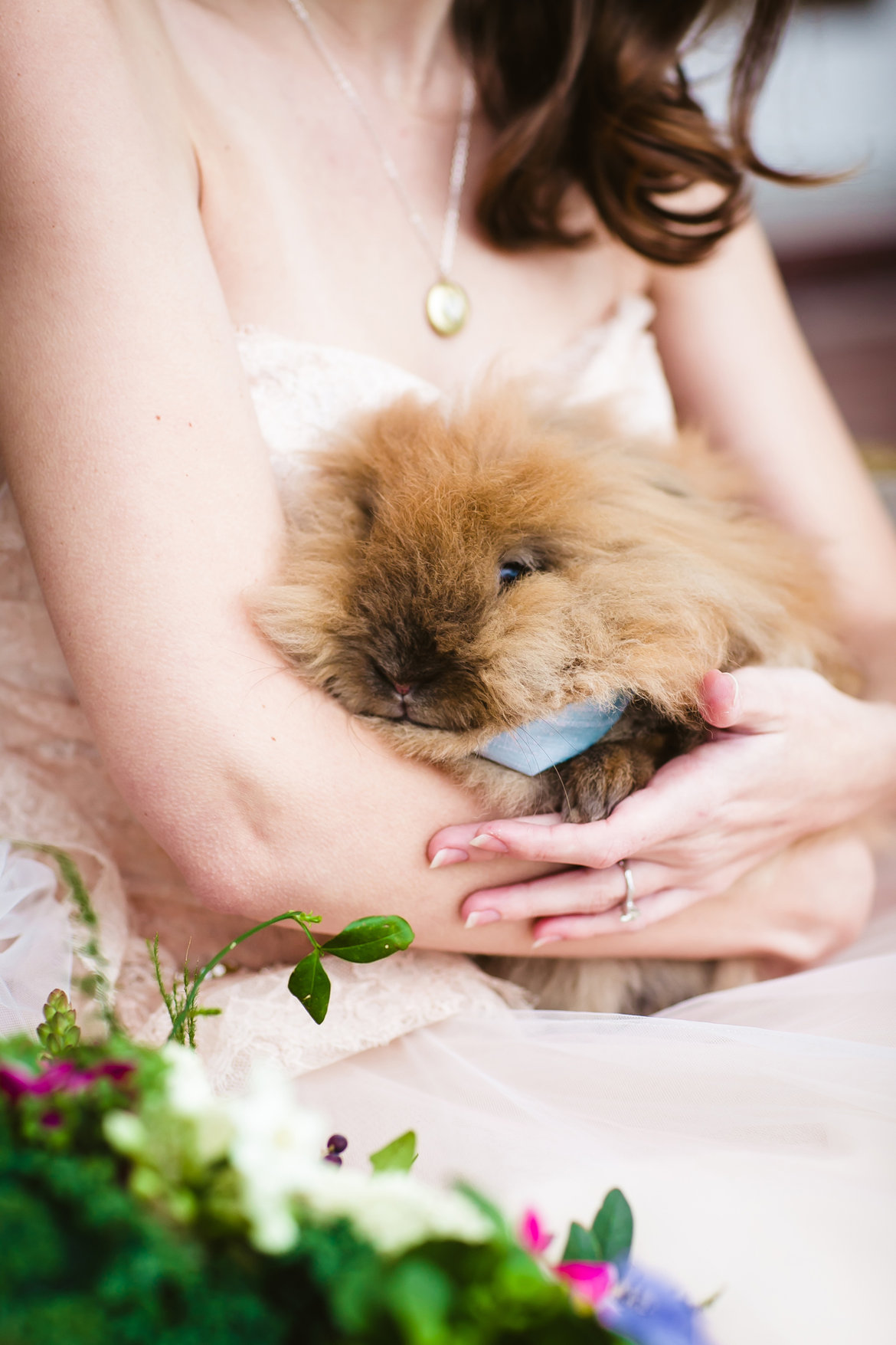 peter rabbit wedding inspiration shoot