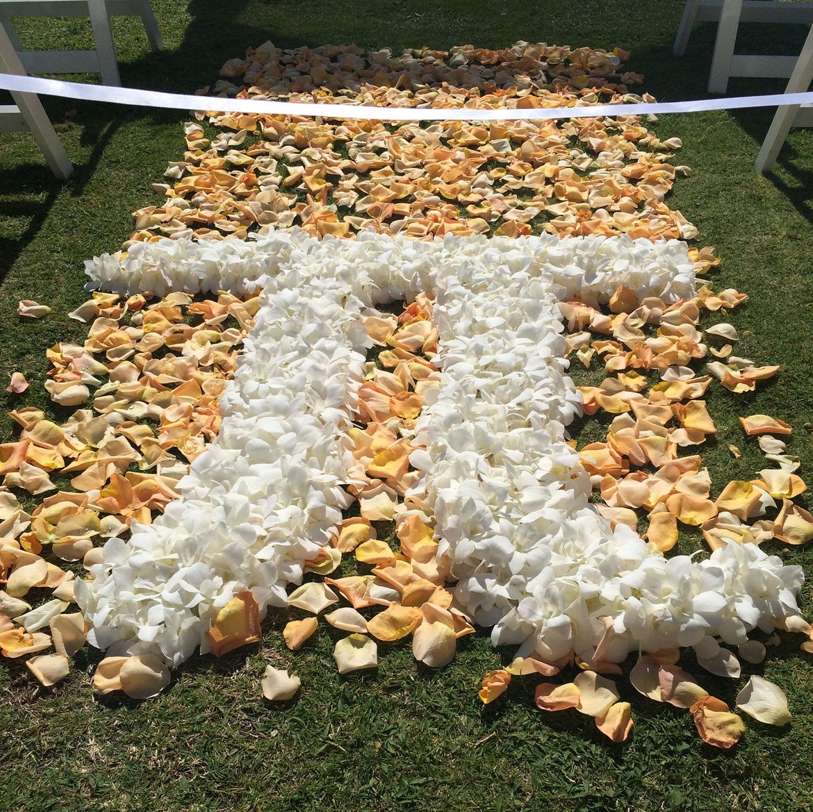 pi day wedding