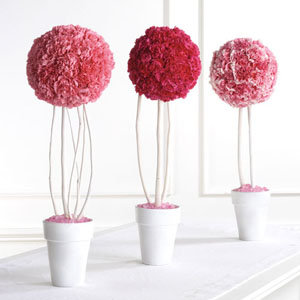 carnation topiary